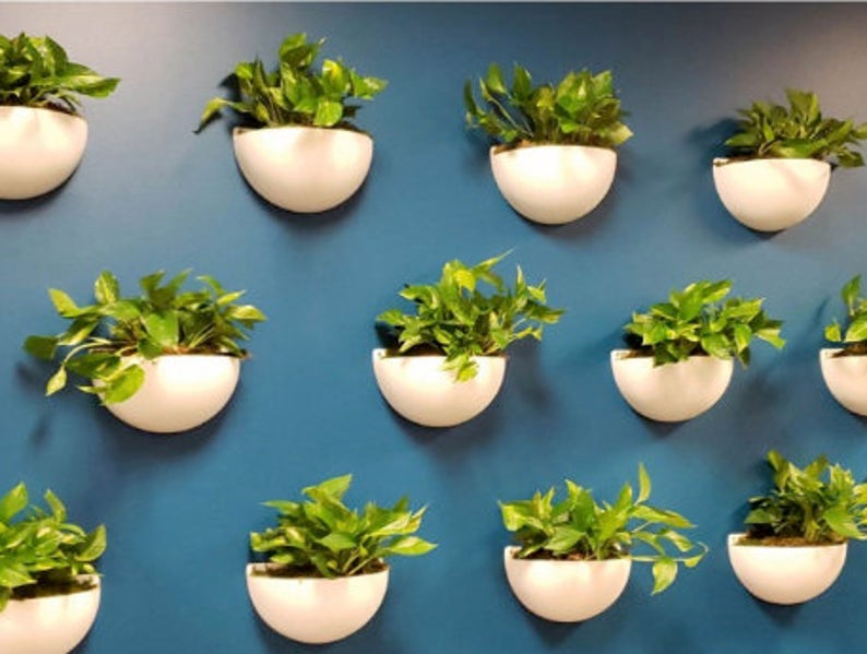 Wall Sconce Planter | Wall Planter | Hanging Planter