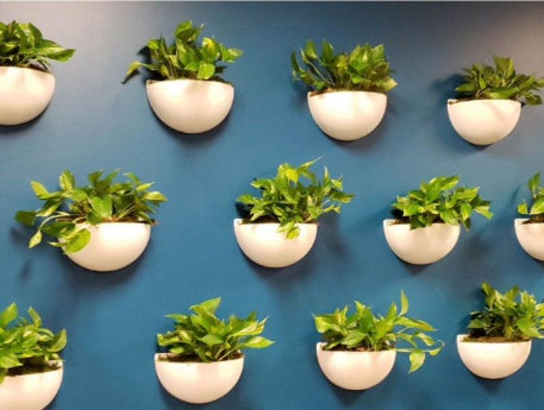 indoor wall planter sconce Wall Sconce Planter | Wall Planter