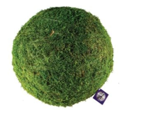 Moss Ball | Moss Sphere | Moss Decor