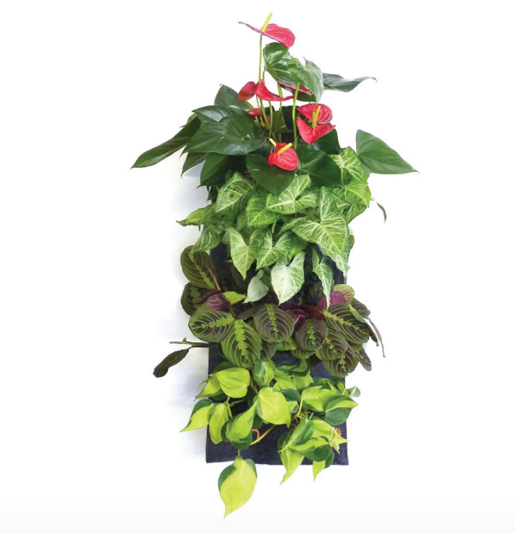 Living Wall Planter - 4 Pocket - Vertical Garden