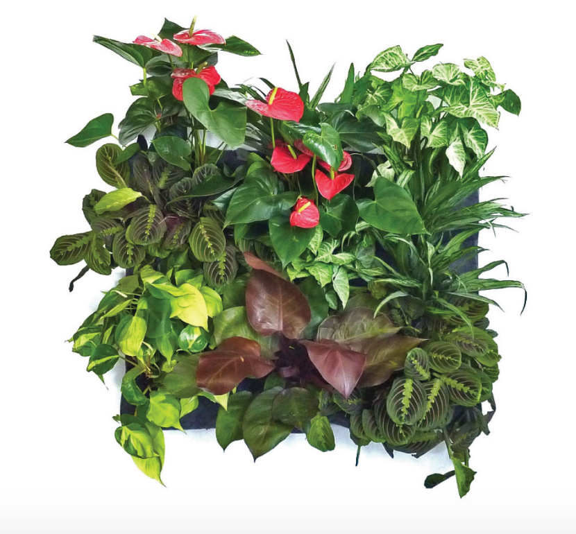 12-Pocket Vertical Garden Planter