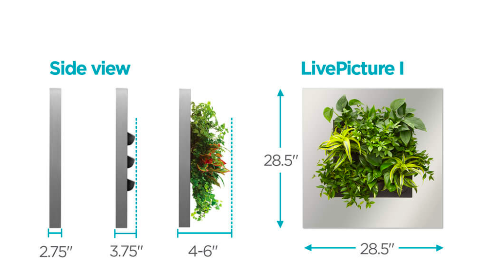 self watering plant wall Live Picture I | Living Wall