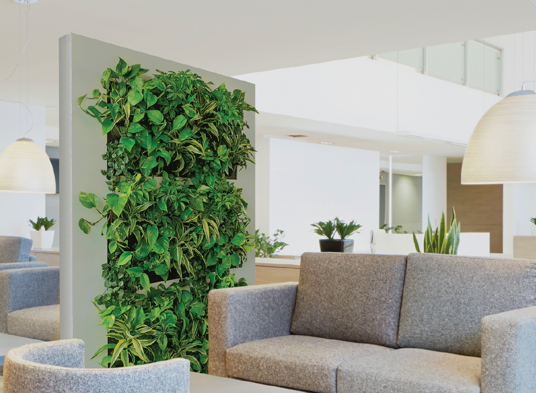 Live Divider | Living Wall | Privacy Wall | Privacy Plants