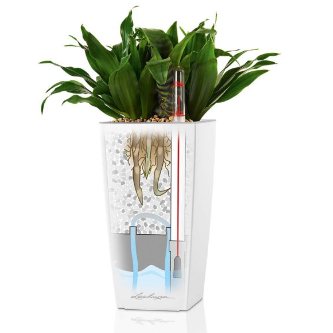 Cubi Planter - Self-Watering Planter