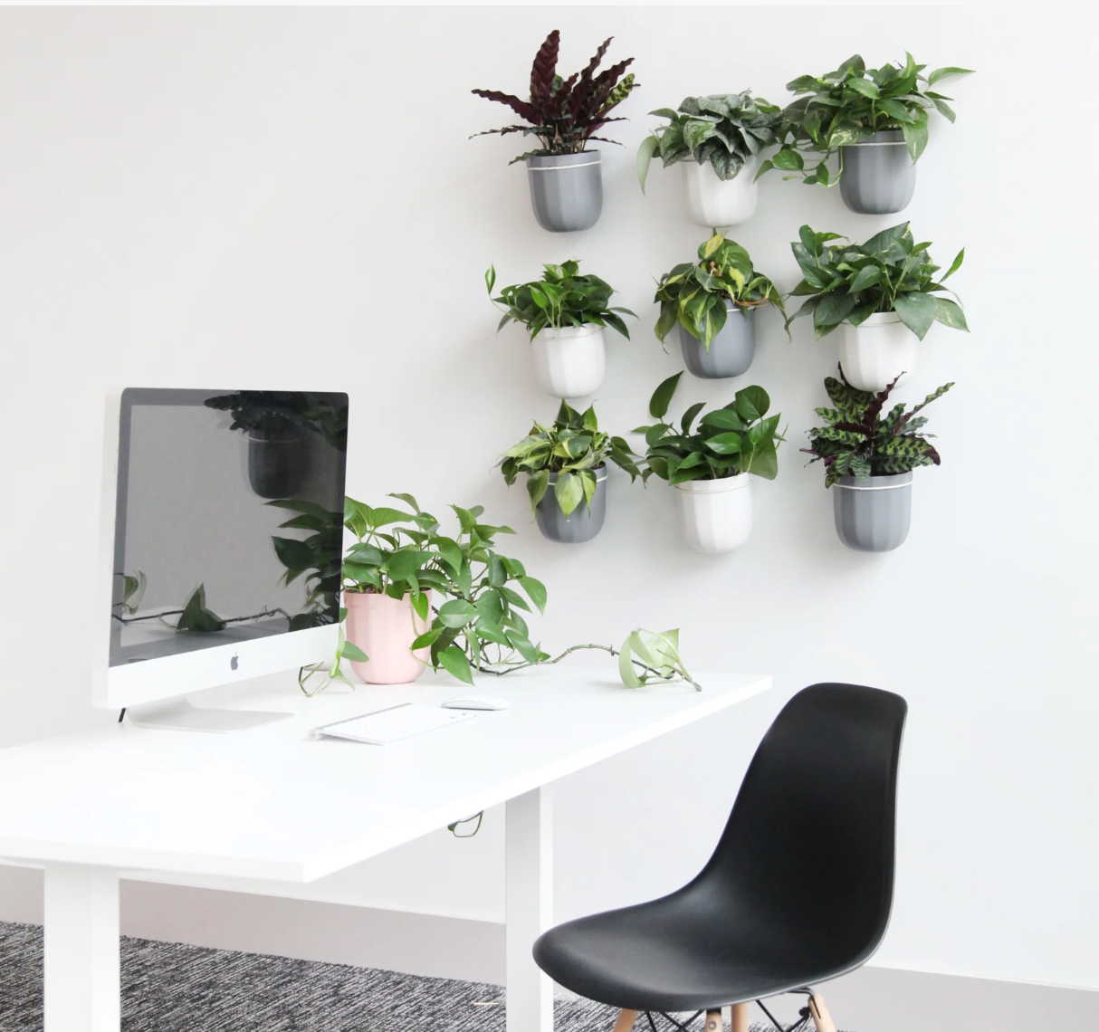 loop hanging planter Wallygro Loop